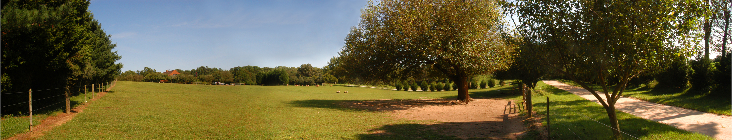 Farm panoramic